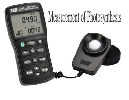 TES-1339P Photosynthesis Light Quantum Meter